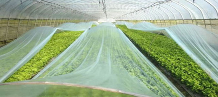 Application of non-woven fabrics in greenhouse planting